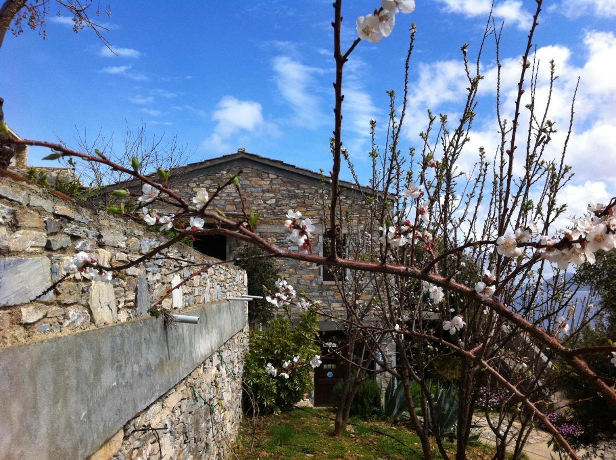 Pyrgos Traditional Village Ágios Kírykos Екстериор снимка
