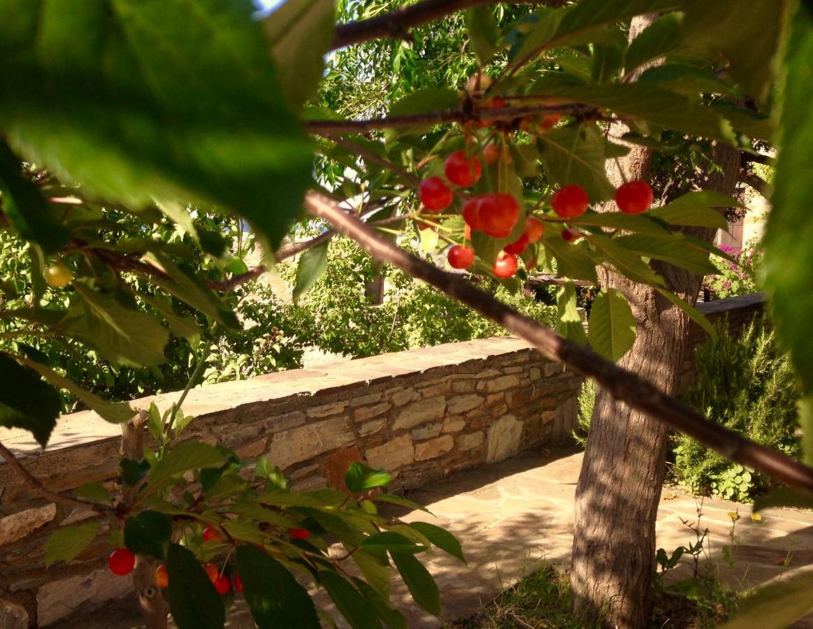 Pyrgos Traditional Village Ágios Kírykos Екстериор снимка